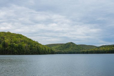 Merkezi Pennsylvania Michaux devlet ormandaki uzun Pine rezervuar çevresinde peyzaj