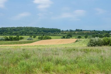 Kırsal ülke York County Pennsylvania tarım arazileri, bir yaz gününde