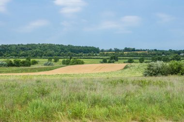 Kırsal ülke York County Pennsylvania tarım arazileri, bir yaz gününde