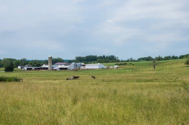 Kırsal ülke York County Pennsylvania tarım arazileri, bir yaz gününde