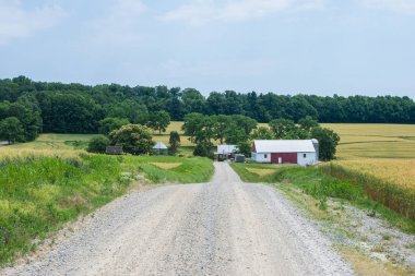 Kırsal ülke York County Pennsylvania tarım arazileri, bir yaz gününde
