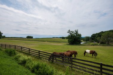 Kırsal ülke York County Pennsylvania tarım arazileri, bir yaz gününde