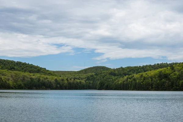 Paisagem Área Torno Long Pine Reservoir Michaux State Forest Centro — Fotografia de Stock