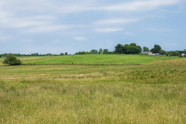 Kırsal Ülke York County Pennsylvania Tarım Arazileri Bir Yaz Gününde — Stok fotoğraf