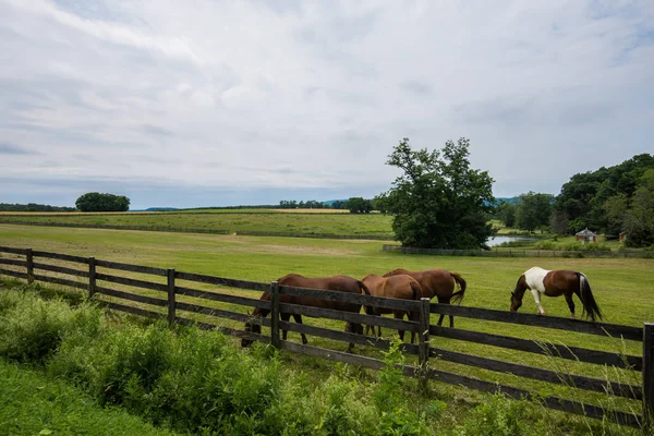 Campo Rural Condado York Pennsylvania Farmland Día Verano — Foto de Stock