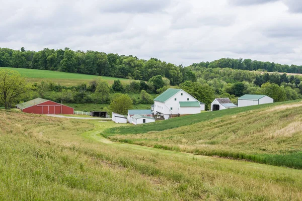 Landsbygdens Landskap Hartford County Jordbruksmark Norra Maryland — Stockfoto