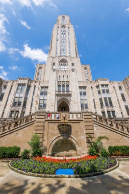 Pittsburgh Üniversitesi, Kuzey Oakland Pennsylvania'da