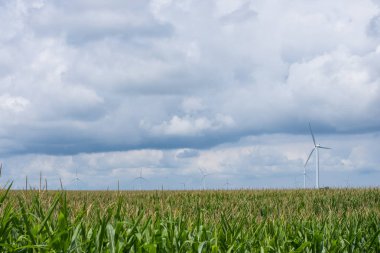 Mills Indiana kırsal bir alanda kapalı yol sixity beş Rüzgar