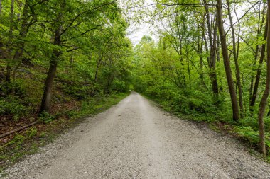Hartford County, Maryland yakışıklı rezervuar aracılığıyla hiking