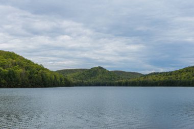 Merkezi Pennsylvania Michaux devlet ormandaki uzun Pine rezervuar çevresinde peyzaj