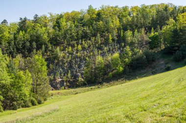 Merkezi Pennsylvania Michaux devlet ormandaki uzun Pine rezervuar çevresinde peyzaj