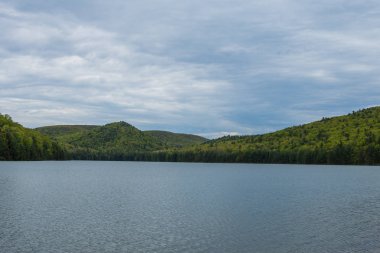 Merkezi Pennsylvania Michaux devlet ormandaki uzun Pine rezervuar çevresinde peyzaj