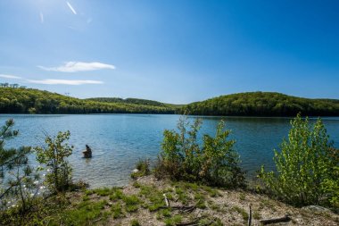 Merkezi Pennsylvania Michaux devlet ormandaki uzun Pine rezervuar çevresinde peyzaj