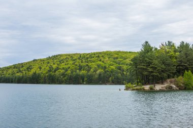 Merkezi Pennsylvania Michaux devlet ormandaki uzun Pine rezervuar çevresinde peyzaj