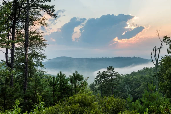 Mistige Zonsondergang Michaux Staat Forrest Pennsylvania — Stockfoto