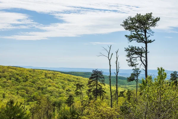 Landscape Area Long Pine Reservoir Michaux State Forest Central Pennsylvania — Stock Photo, Image