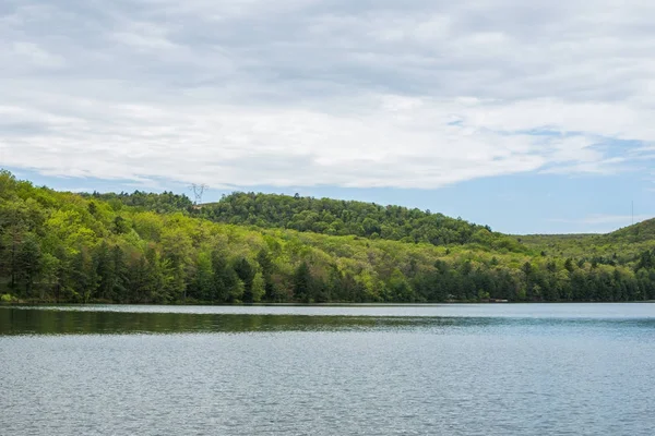 Paisagem Área Torno Long Pine Reservoir Michaux State Forest Centro — Fotografia de Stock