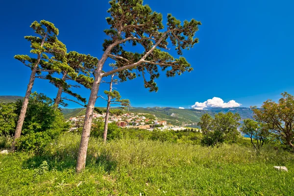 Cidade de Senj vista da natureza e costa — Fotografia de Stock