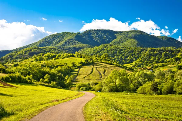 Paisaje de primavera en las colinas de Plesivica — Foto de Stock