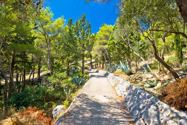 Середземноморський рослини зелений пейзаж видом на пагорб — стокове фото