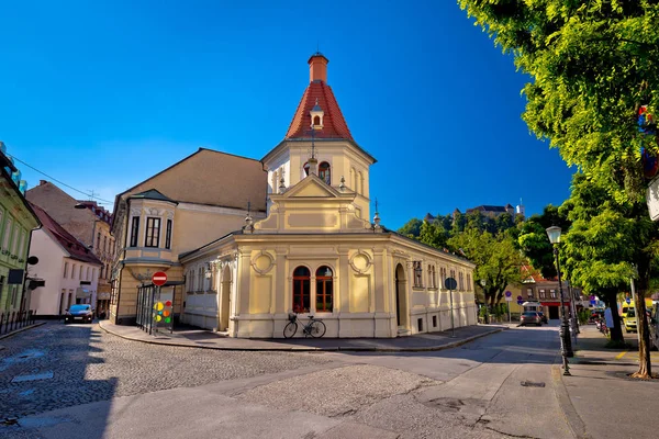 Ljubljana Arnavut kaldırımlı eski sokak ve mimari görünüm — Stok fotoğraf