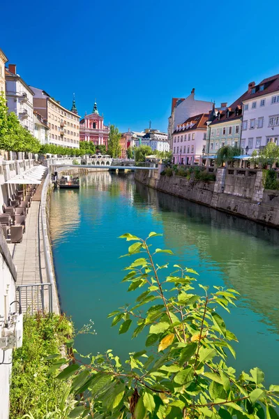 Ljubljana rzeki i architektury widok pionowy — Zdjęcie stockowe