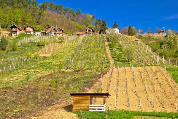Idylické horské vinic vesnice Prigorec — Stock fotografie