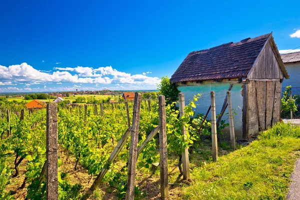 Traditionella vingården och stuga i Vrbovec — Stockfoto