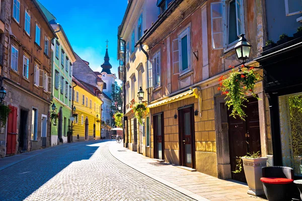 Città vecchia di Lubiana colorata strada — Foto Stock