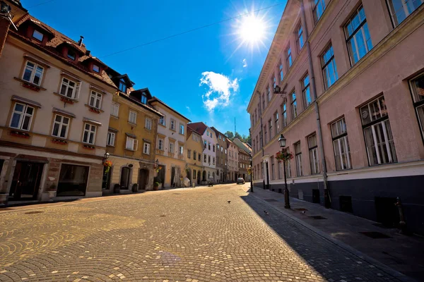 Régi Ljubljana városkép macskaköves utca kilátás — Stock Fotó