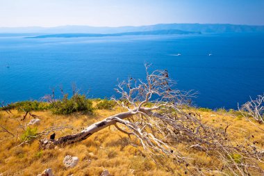 Brac Adası çöl sahil görünümü