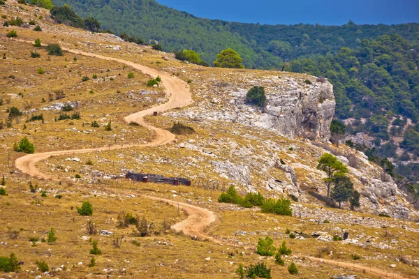 Island of Brac desert scenic road — Stock Photo, Image