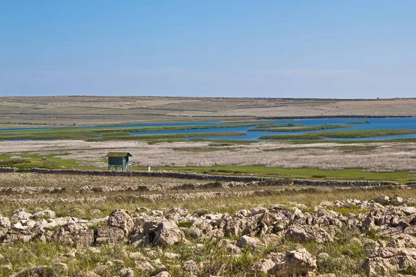 Réserve ornithologique sur l'île de Pag avec tour de guet — Photo