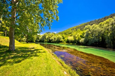 Knin manzara pastoral Krka nehirde