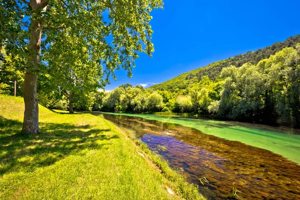 Idyllischer Fluss Krka in kniner Landschaft — Stockfoto