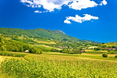 Kalnik dağın pastoral yeşil manzara