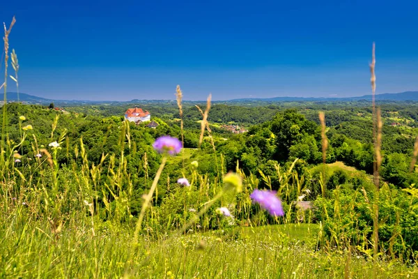 Kasteel van Veliki Tabor en Zagorje groen landschap weergave — Stockfoto