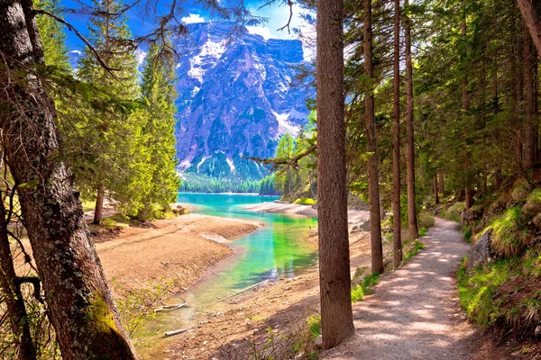 Idyllic Alpine walkway by Pragster Wildsee lake — Stock Photo, Image