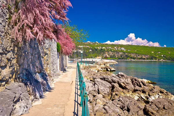 Lungomare kust beroemde wandelpad in Opatija — Stockfoto