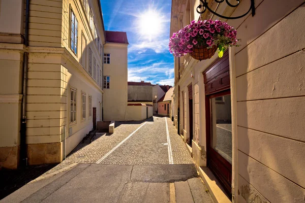 Kleurrijk straat van barokke stad Varazdin weergave — Stockfoto