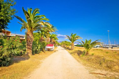Geçit Kastela Bay deniz kenarında palmiye