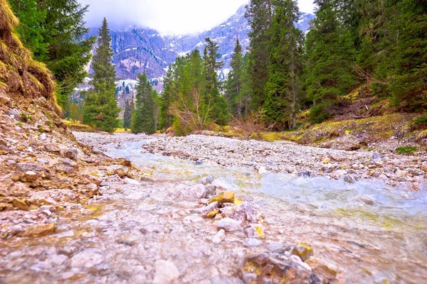 Koude berg creek in Alpen weergave — Stockfoto