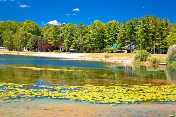 Soderica jezioro zielony krajobraz i wody lilys widok — Zdjęcie stockowe
