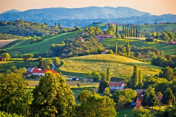 Zielony krajobraz Medjimurje regionu widok ze wzgórza — Zdjęcie stockowe
