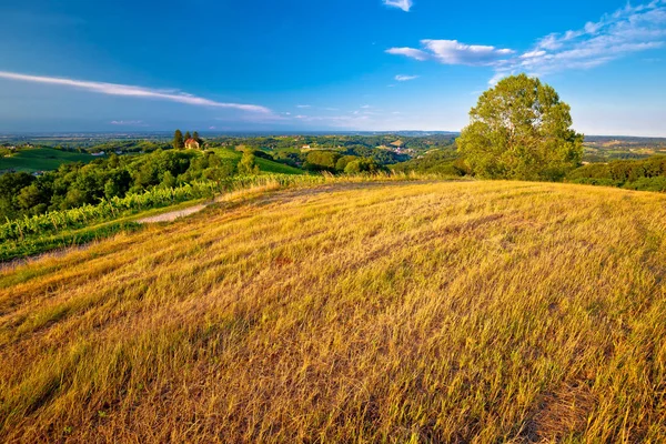 Zelená krajina regionu výhled z kopce Medjimurje — Stock fotografie