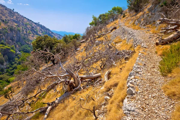 Taş iz Pustinja Blaca hermitage yakınındaki Brac Adası'nda çöl. — Stok fotoğraf