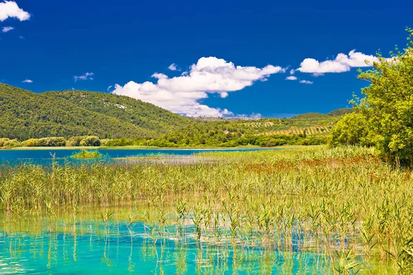 Idylický obraz národní park Krka řeka — Stock fotografie