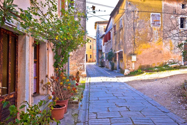 Ville de Visnjan vue sur ruelle pavée — Photo