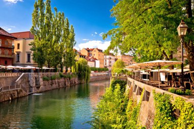 Ljubljana yeşil riverfront mesire geçit yaz görünümü