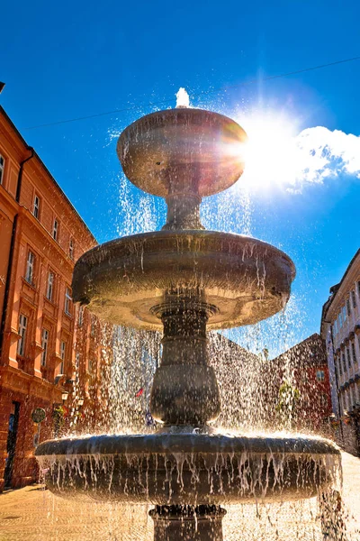 Ljubljana Brunnen Sonne Dunst vertikale Ansicht — Stockfoto